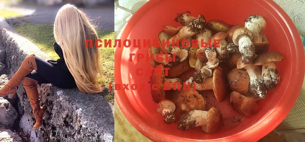 СК Магадан