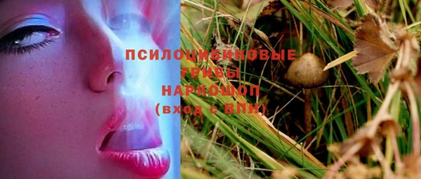 ECSTASY Майский