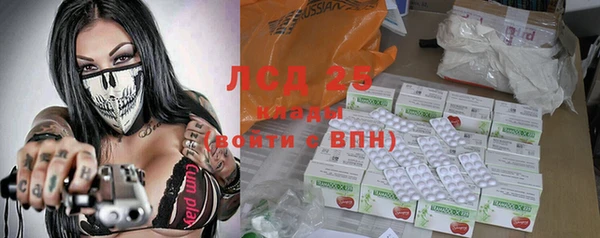 ECSTASY Майский